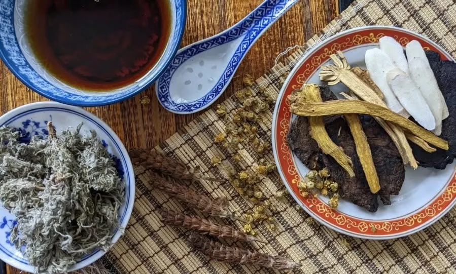 Chinese herbal medicine — dried ginseng root, chrysanthemum flowers and a dark decoction on a bamboo mat