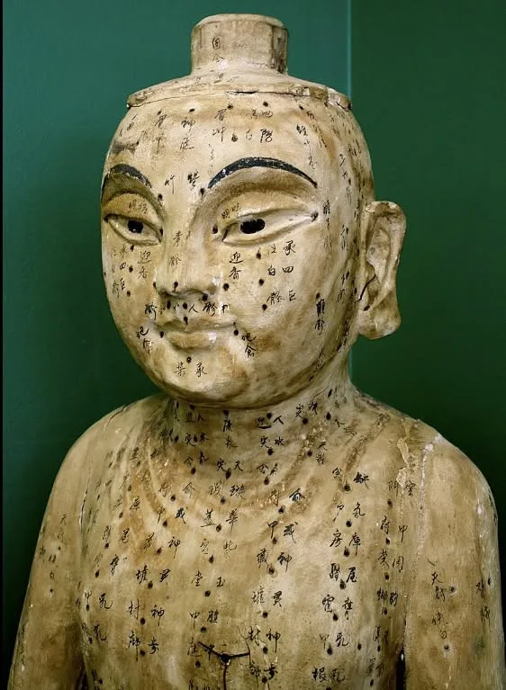 Antique Chinese acupuncture model marked with meridian points and Chinese characters, against a deep green wall